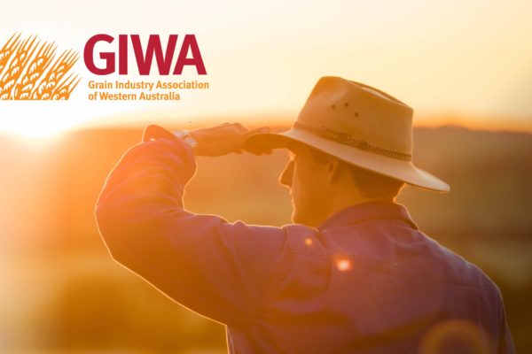 GIWA Annual Report Cover